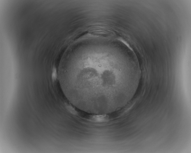 X0000114610089200910201201