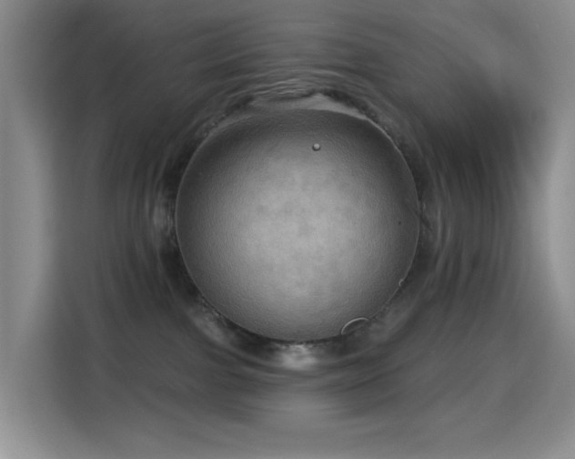 X0000114610091200910201201