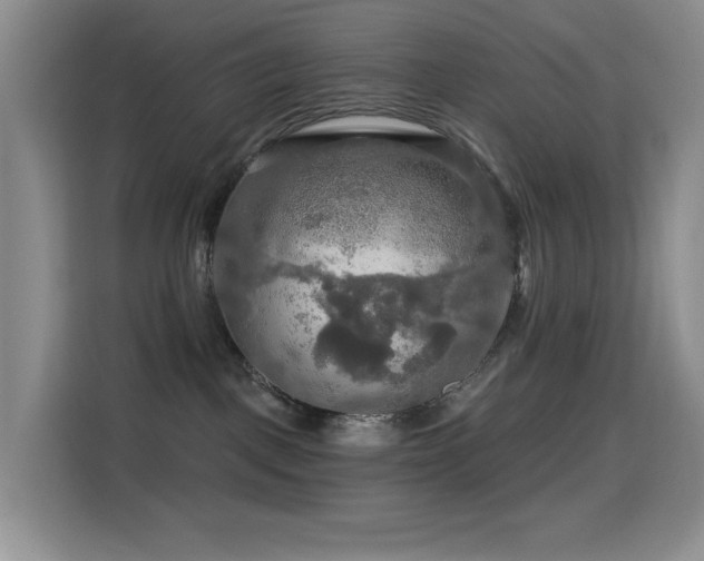 X0000114610093200910201201