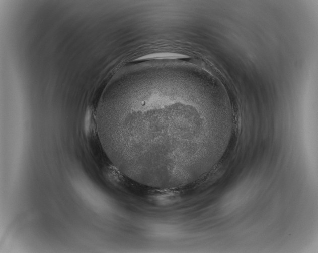 X0000114610095200910201201