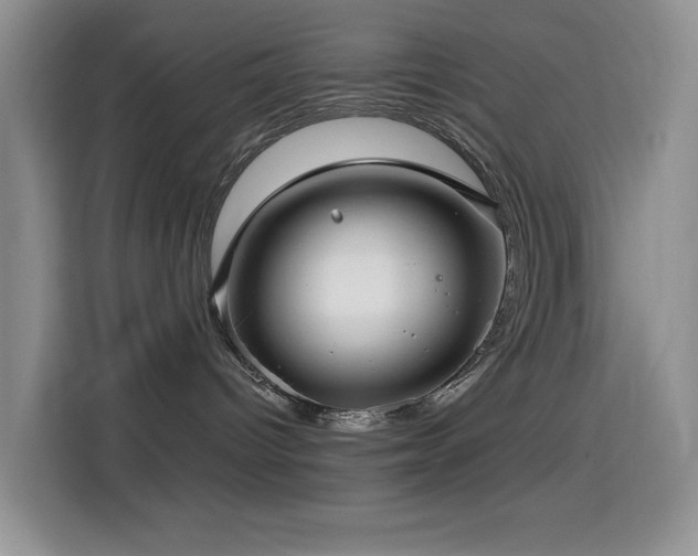 X0000114610096200910201201