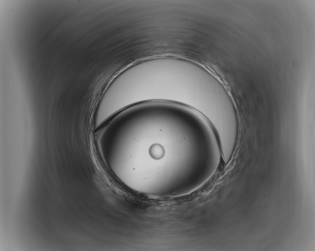 X0000114610097200910201200