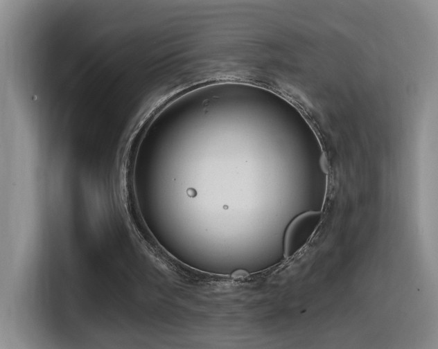 X0000114610098200910201200