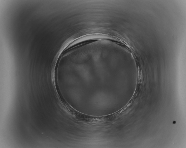 X0000114610099200910201200