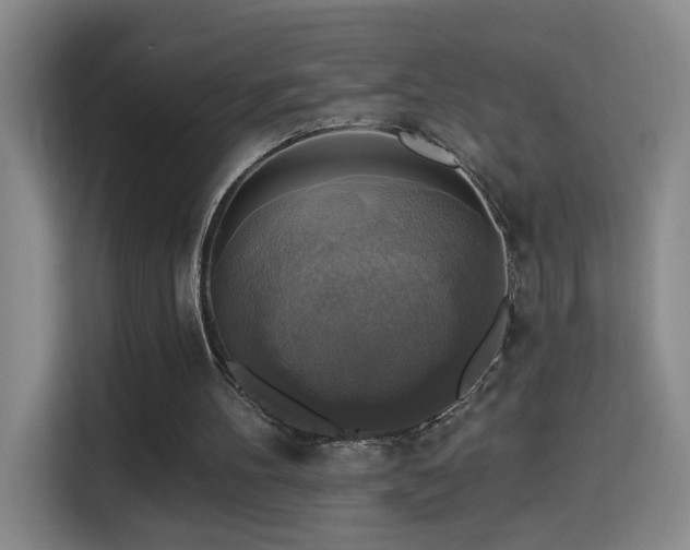 X0000114610100200910201200