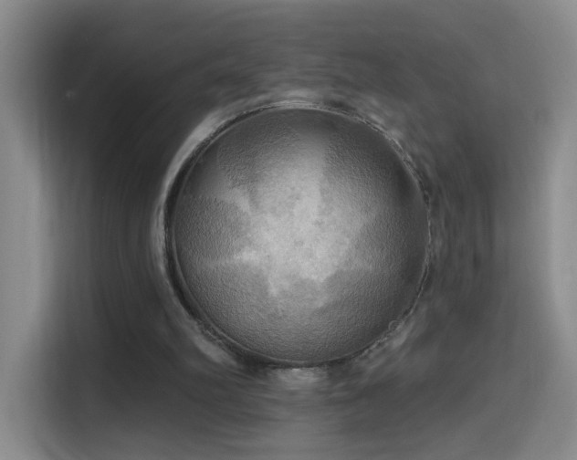 X0000114610102200910201200