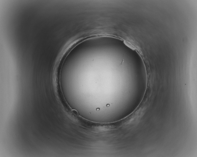 X0000114610103200910201200