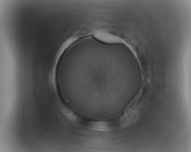 X0000114610104200910201200