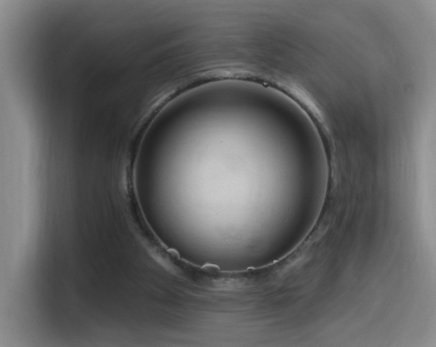 X0000114610105200910201200