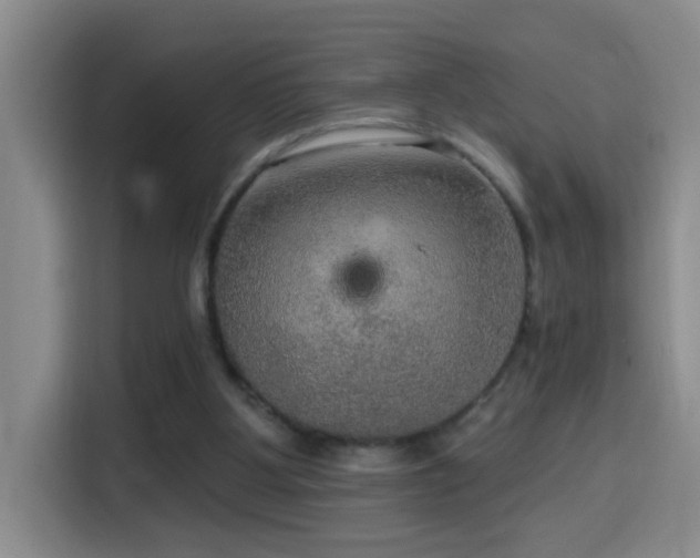 X0000114610107200910201200