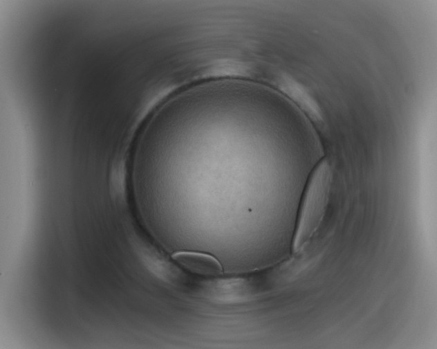 X0000114610108200910201200