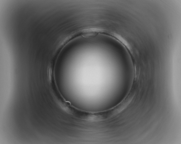 X0000114610109200910201200