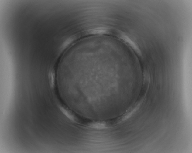 X0000114610110200910201200