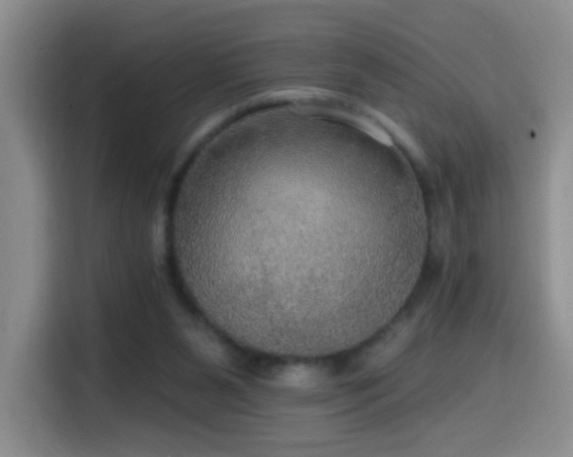 X0000114610111200910201200