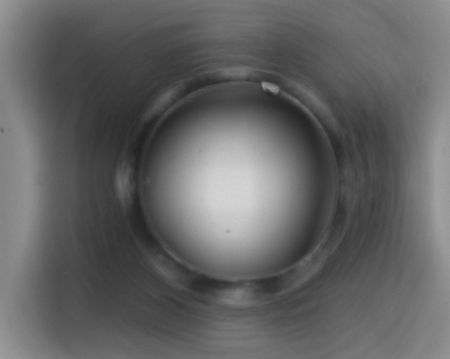 X0000114610116200910201200