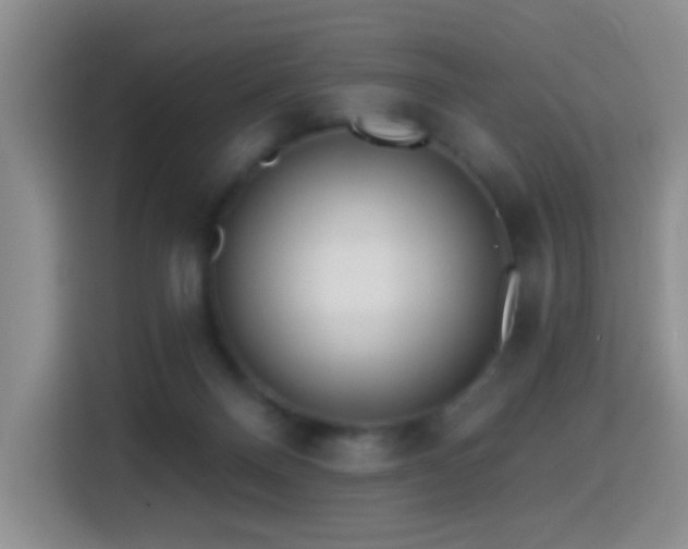 X0000114610120200910201200