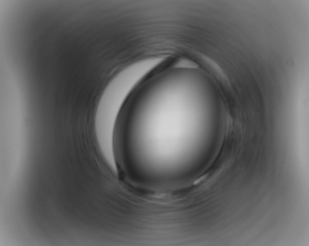 X0000114610121200910201200