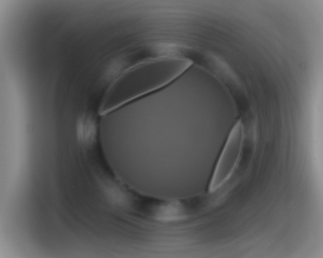 X0000114610124200910201200