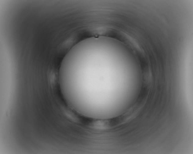 X0000114610126200910201200