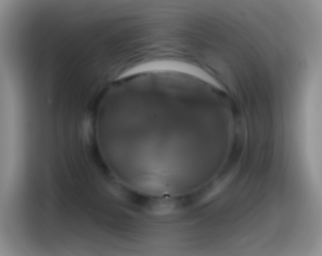 X0000114610127200910201200