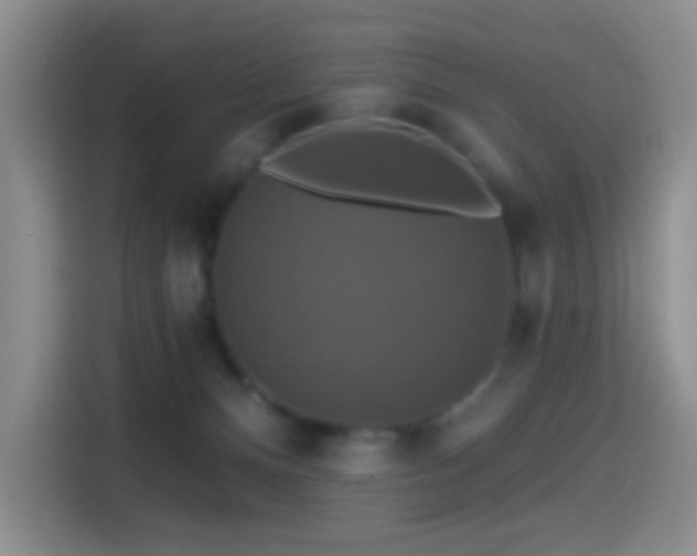 X0000114610128200910201200