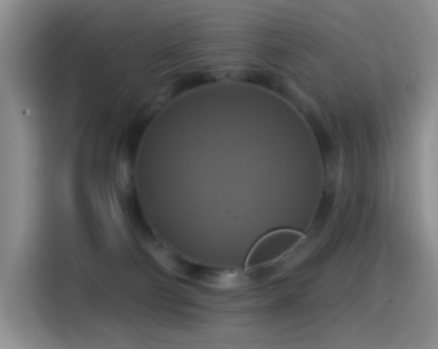 X0000114610130200910201200