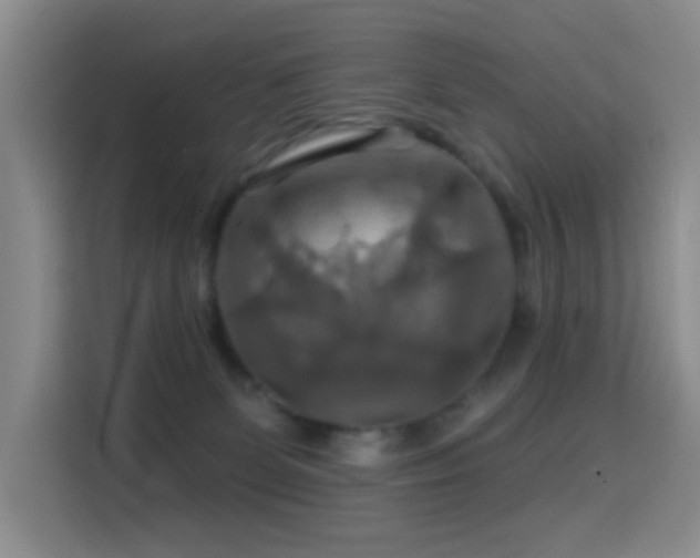 X0000114610131200910201200