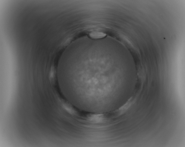 X0000114610132200910201200