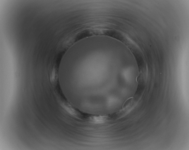 X0000114610134200910201200