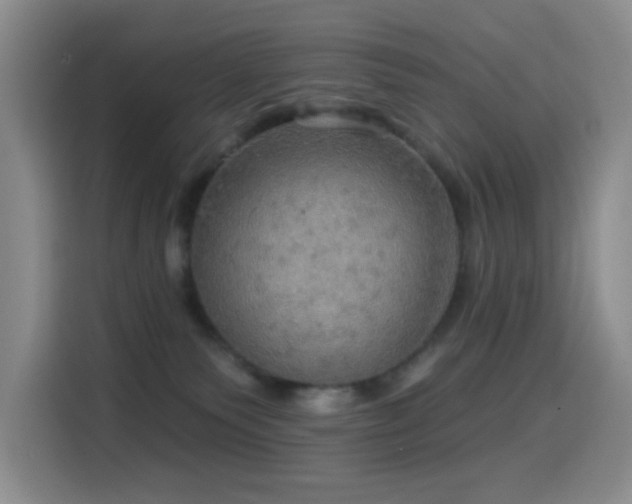 X0000114610135200910201200