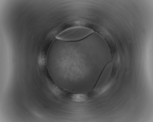 X0000114610137200910201200