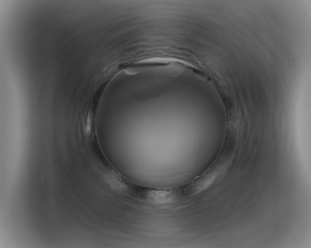 X0000114610139200910201200