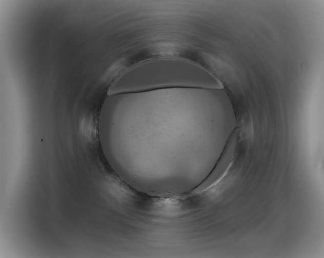 X0000114610140200910201200