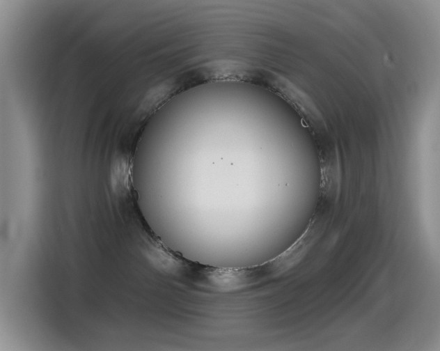 X0000114610142200910201200