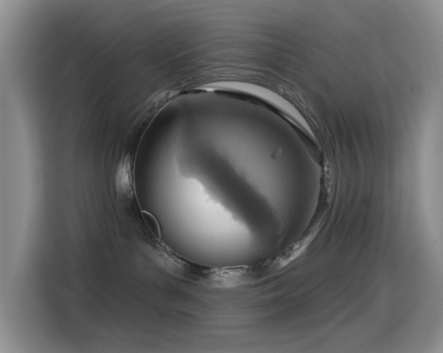 X0000114610143200910201200