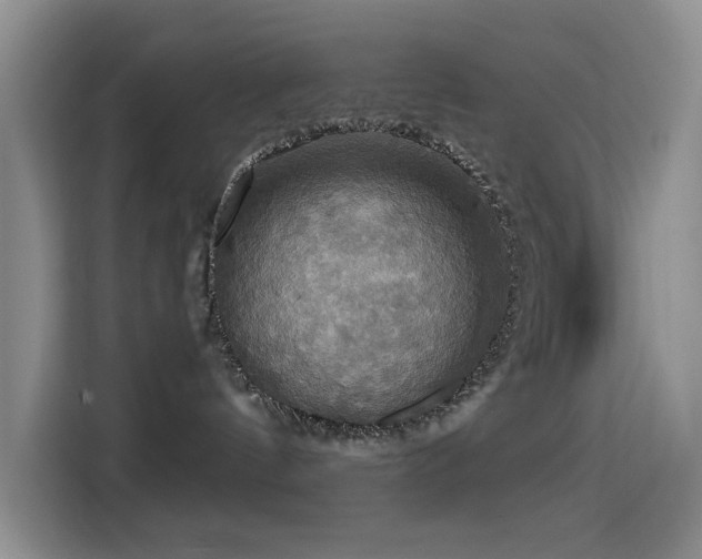 X0000114610144200910201200