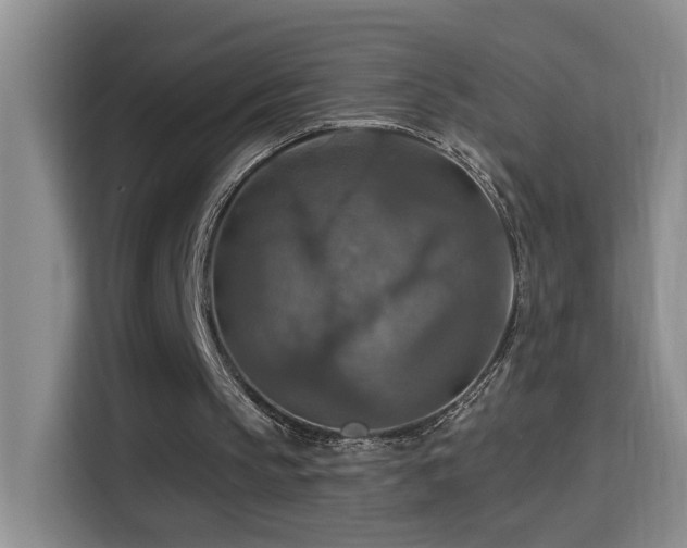 X0000114610145200910201159