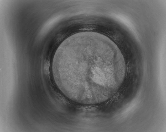 X0000114610146200910201159