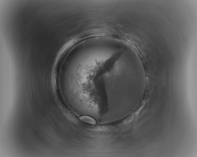 X0000114610149200910201159