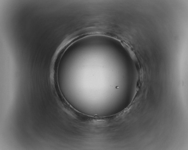 X0000114610150200910201159