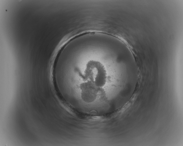 X0000114610151200910201159