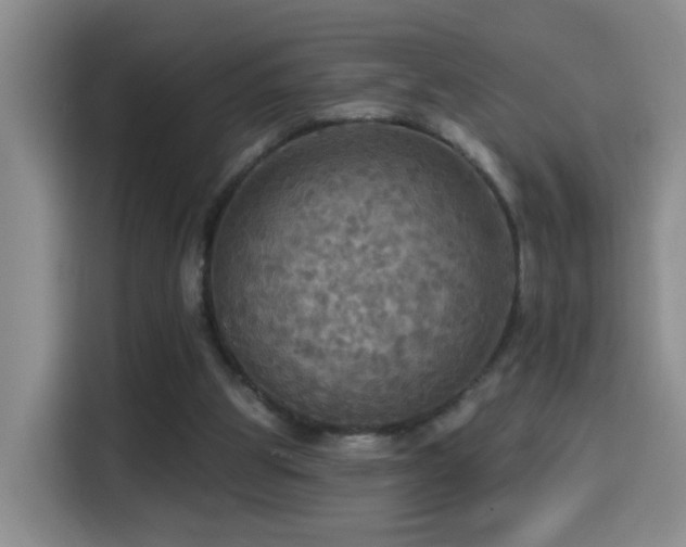 X0000114610153200910201159