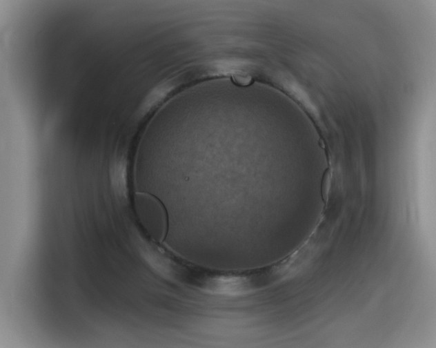 X0000114610154200910201159