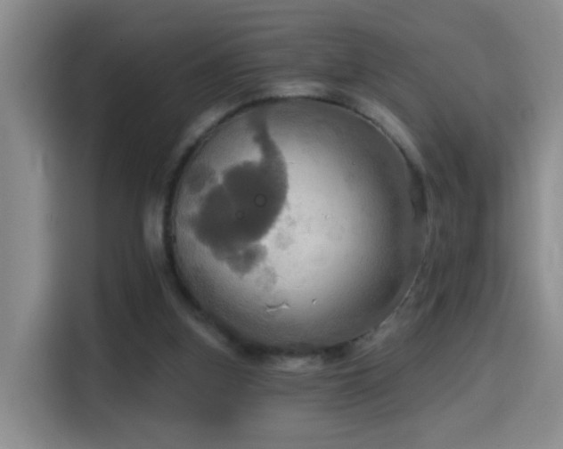 X0000114610155200910201159