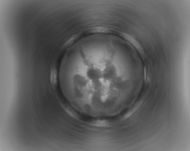 X0000114610157200910201159