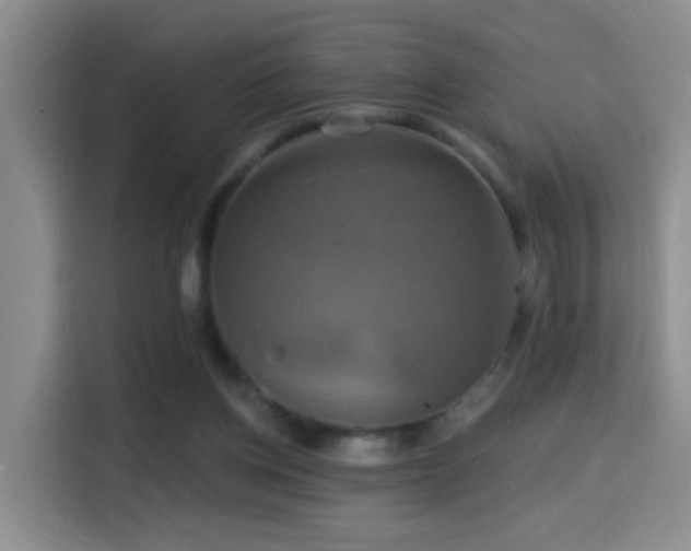 X0000114610158200910201159