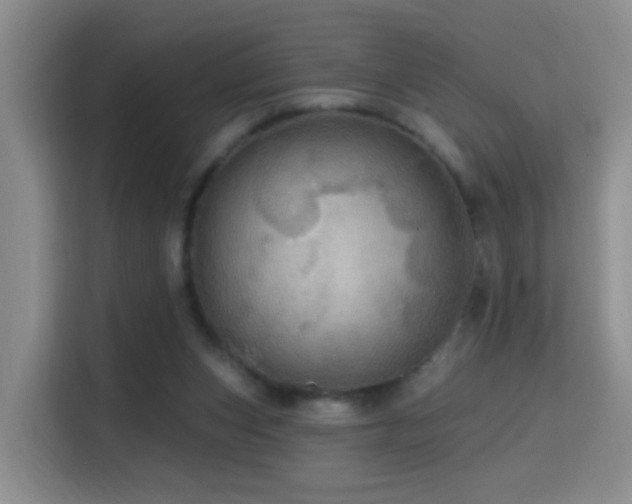 X0000114610159200910201159