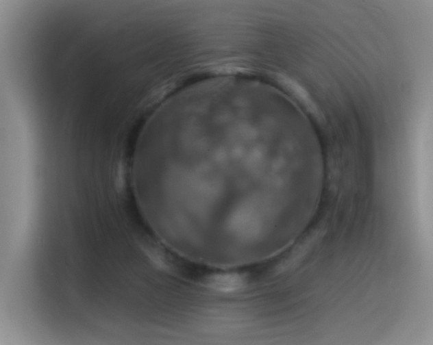 X0000114610161200910201159