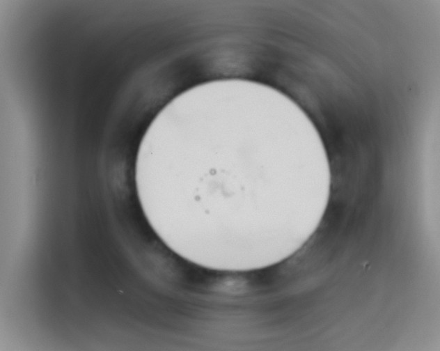 X0000114610162200910201159