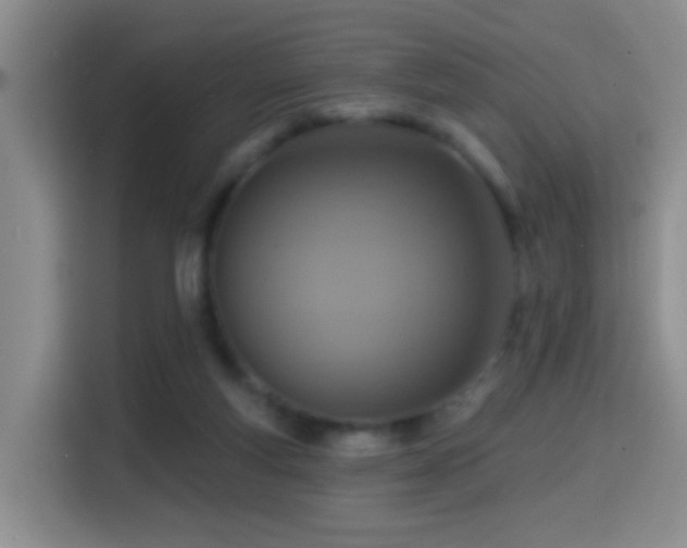 X0000114610163200910201159